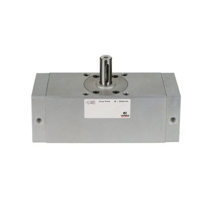 Rotary cylinders Series 30