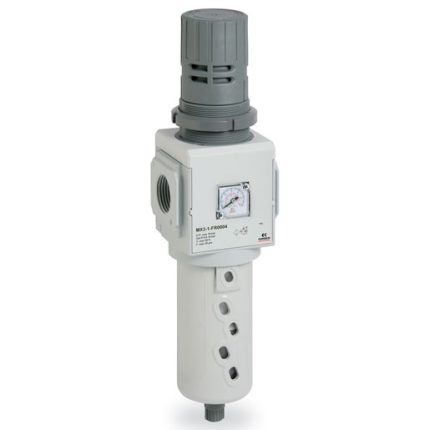 Filter-regulators Series MX