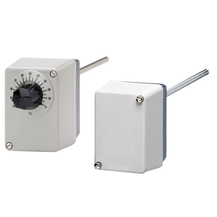 Rod thermostat with micro switch